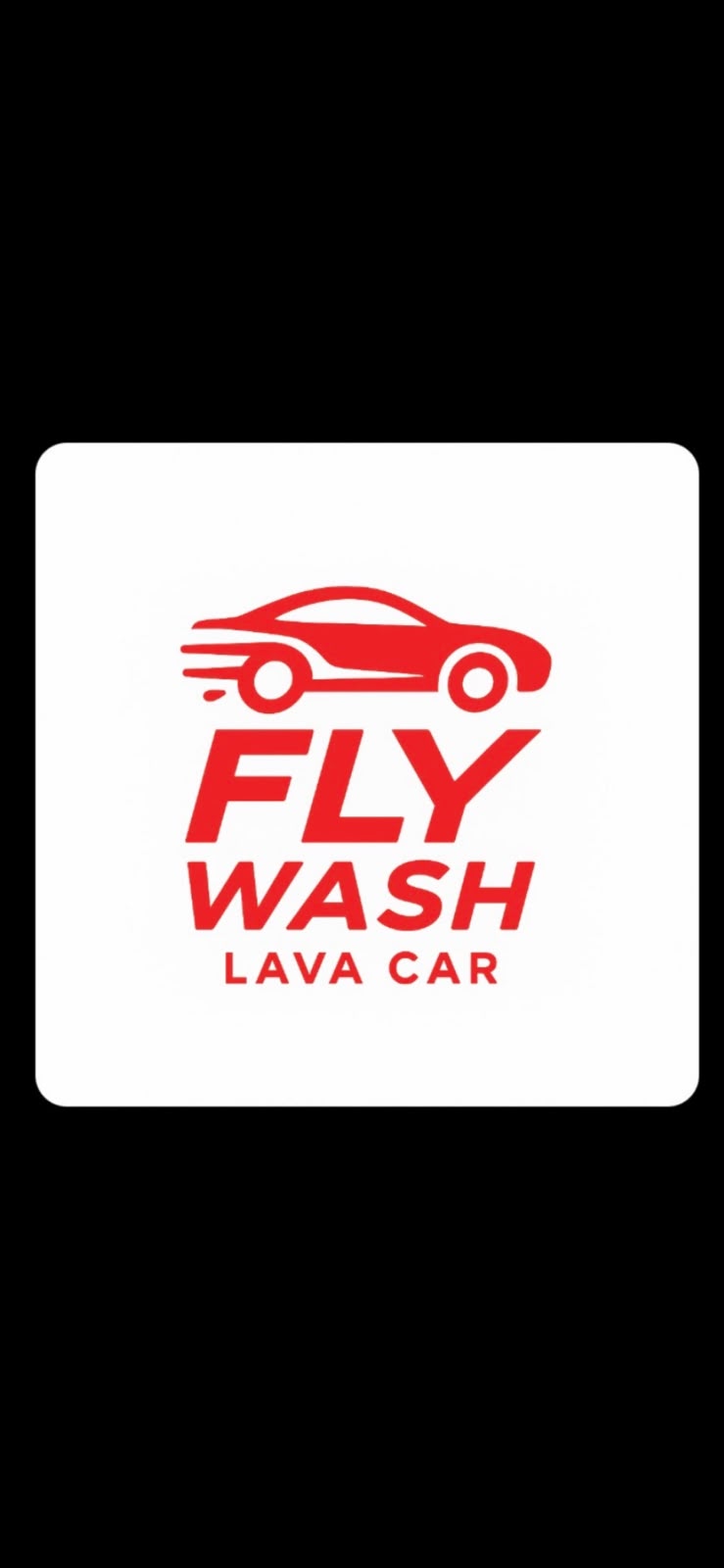 Logo Fly Wash